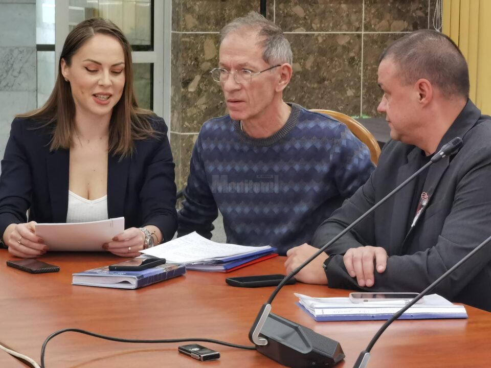 Carmen Gavrilovici, Neculai Frunzaru și Ovidiu Doroftei