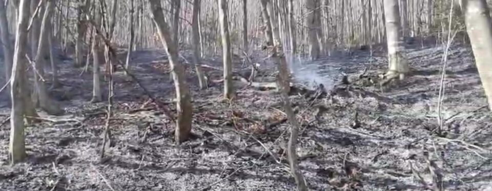 Nu mai puțin de șase incendii de vegetație uscată în doar 24 de ore