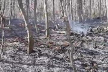 Nu mai puțin de șase incendii de vegetație uscată în doar 24 de ore