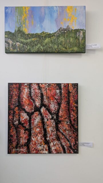Universul artistic al pictorului Leonard Adrian Melisch, în „Efecte Plastice”, la Galeria de Artă „Zamca”