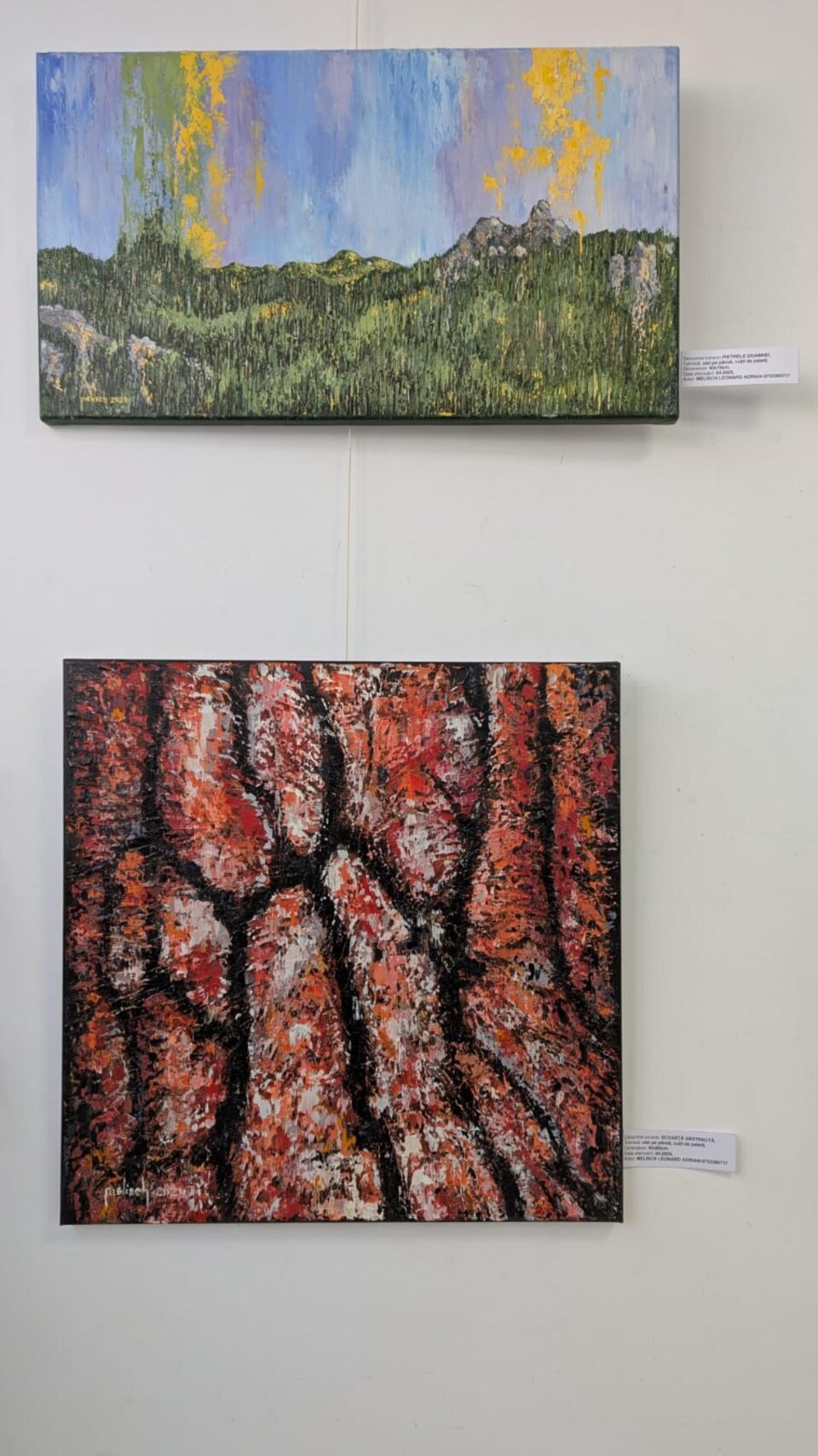 Universul artistic al pictorului Leonard Adrian Melisch, în „Efecte Plastice”, la Galeria de Artă „Zamca”