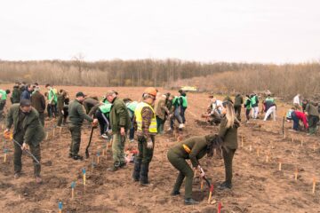 RNP Romsilva a dat startul campaniei de împăduriri de primăvară