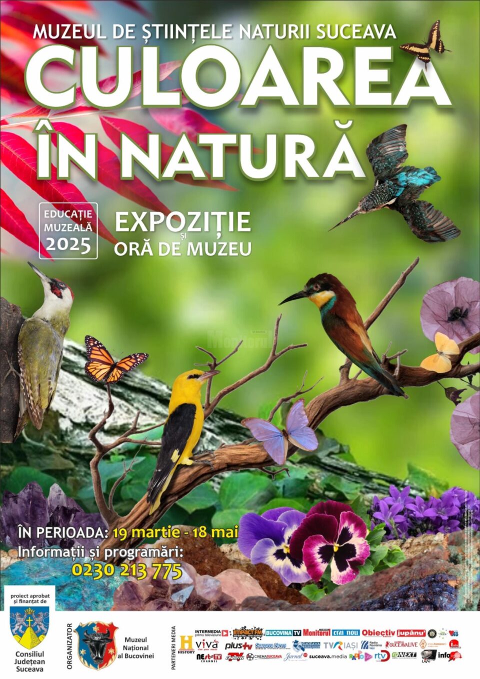 „Culoarea în natură”, expoziție temporară la Muzeul de Științele Naturii din Suceava „Culoarea în natură”, expoziție temporară la Muzeul de Științele Naturii din Suceava