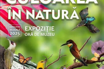 „Culoarea în natură”, expoziție temporară la Muzeul de Științele Naturii din Suceava