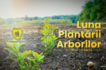 Luna Plantării Arborilor se desfășoară între 15 martie și 15 aprilie