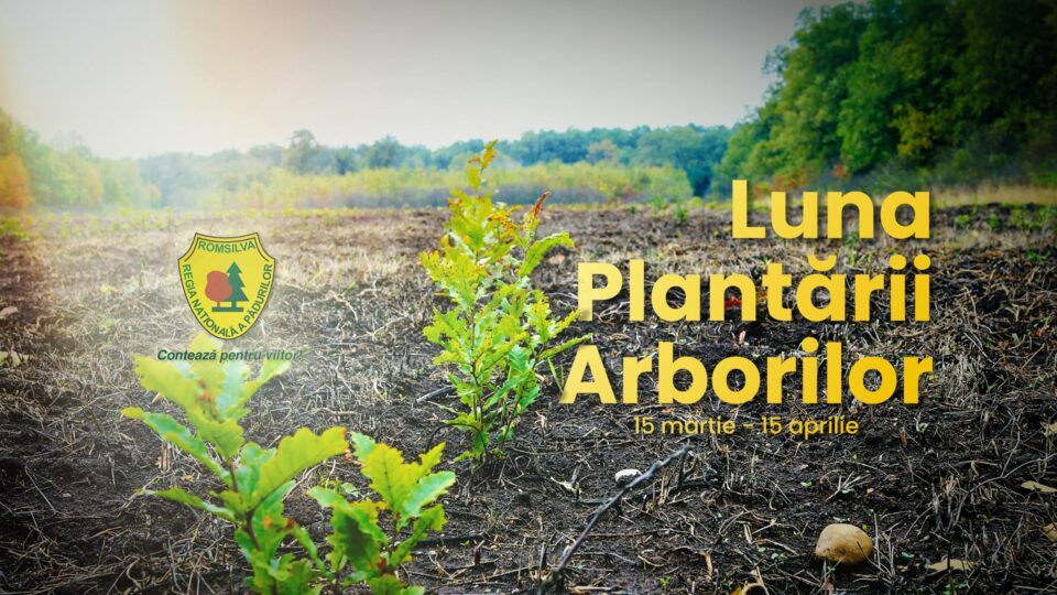 Luna Plantării Arborilor se desfășoară între 15 martie și 15 aprilie