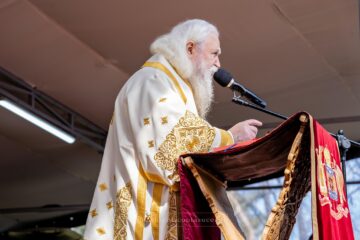 „Îndrăznește, fiule!” – Exegeza Înaltpreasfințitului Părinte Calinic la Evanghelia Duminicii a II-a din Post