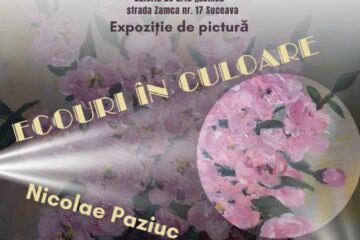 Expoziția de pictură „Ecouri în culoare”, realizată de Nicolae Paziuc, la Galeria de artă „Zamca”