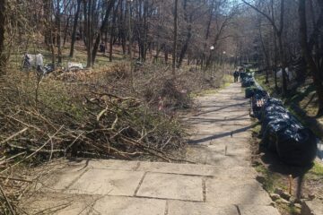 Ample lucrări de igienizare și de refacere a căii principale de acces din Parcul Șipote