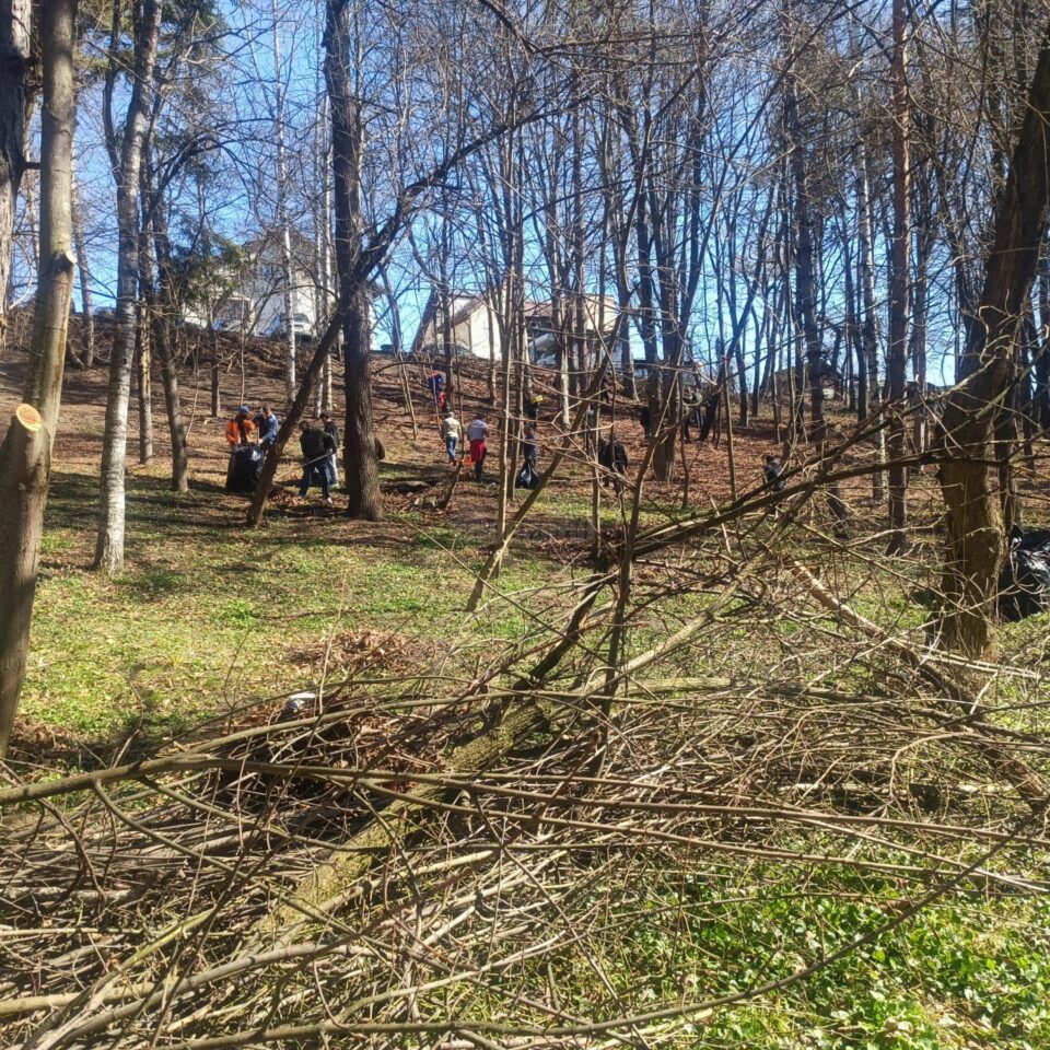Ample lucrări de igienizare și de refacere a căii principale de acces din Parcul Șipote