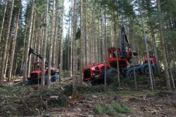 Finanțări nerambursabile de până la 500.000 euro pentru achiziția de echipamente și utilaje noi pentru exploatarea lemnului, prin programul DR-24