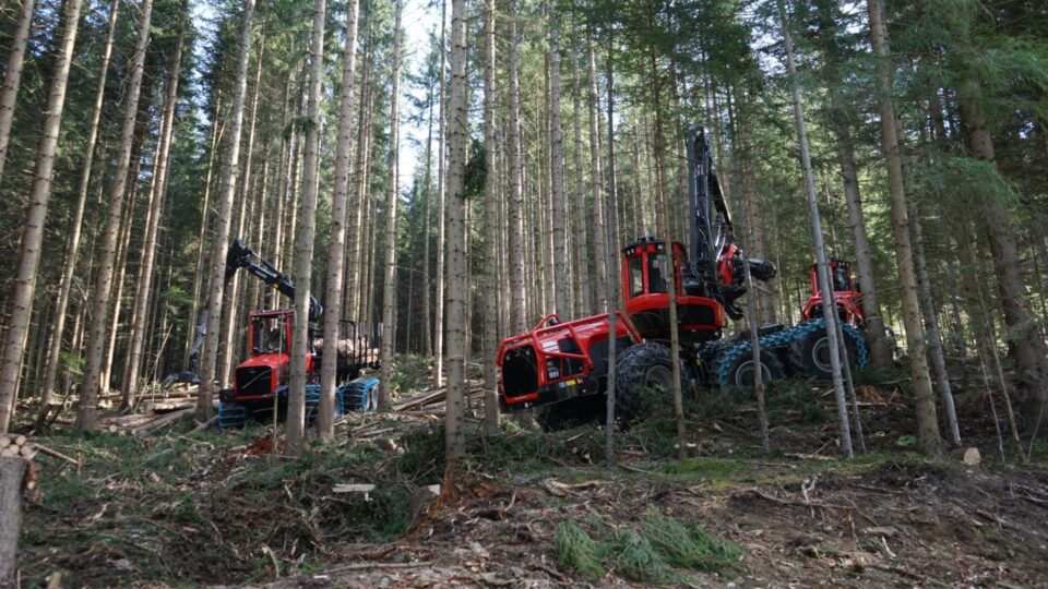 Finanțări nerambursabile de până la 500.000 euro pentru achiziția de echipamente și utilaje noi pentru exploatarea lemnului, prin programul DR-24
