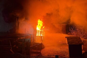 Incendiul de la Rădăuți