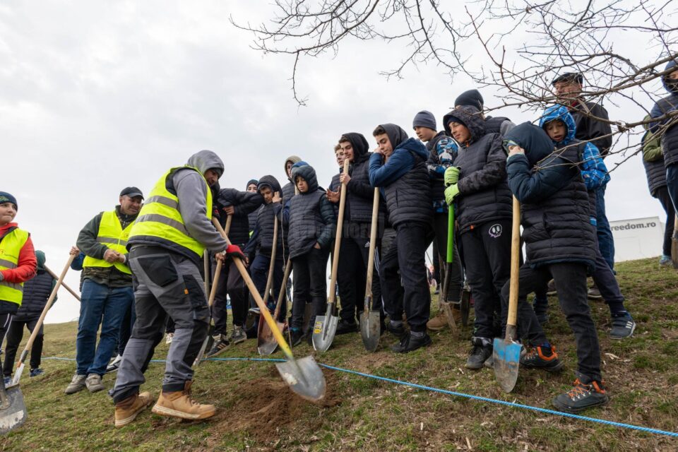 Peste 5000 de puieți de copaci au fost plantați la Udești