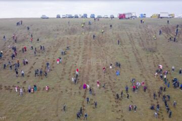 Peste 5000 de puieți de copaci au fost plantați la Udești. La acțiune au participat și deținuți de la Penitenciarul Botoșani