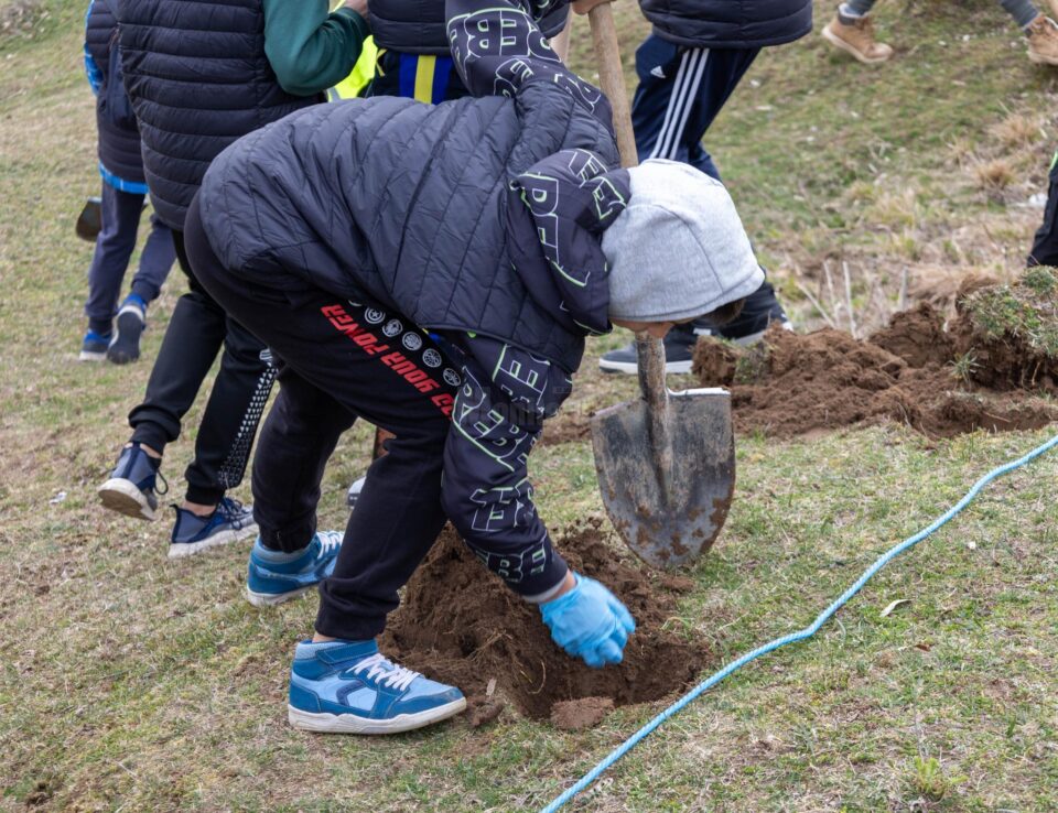Peste 5000 de puieți de copaci au fost plantați la Udești