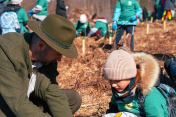 Direcția Silvică Suceava plantează aproape 5 milioane de puieți de arbori