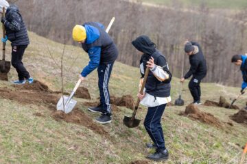 Peste 5.000 de puieți de copaci au fost plantați la Udești. La acțiune au participat și deținuți de la Penitenciarul Botoșani
