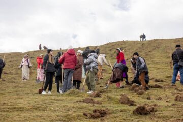 Peste 5.000 de puieți de copaci au fost plantați la Udești. La acțiune au participat și deținuți de la Penitenciarul Botoșani