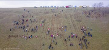 Peste 5.000 de puieți de copaci au fost plantați la Udești. La acțiune au participat și deținuți de la Penitenciarul Botoșani