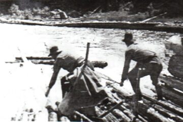 Presa veche 2 martie cu foto PLUTA (1)