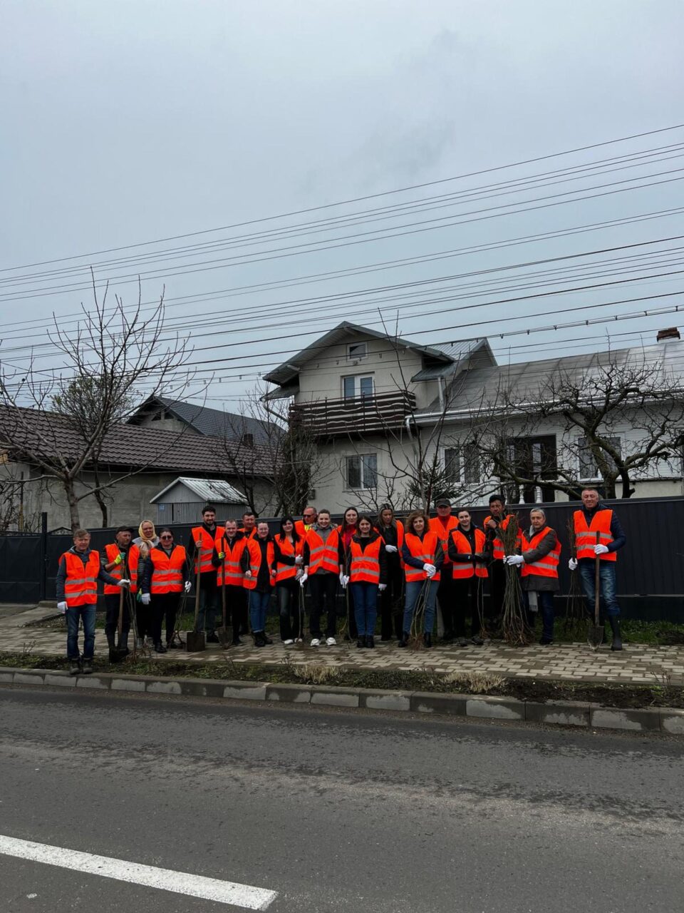 600 de puieți de tei au fost plantați în mai multe zone din comuna Moara