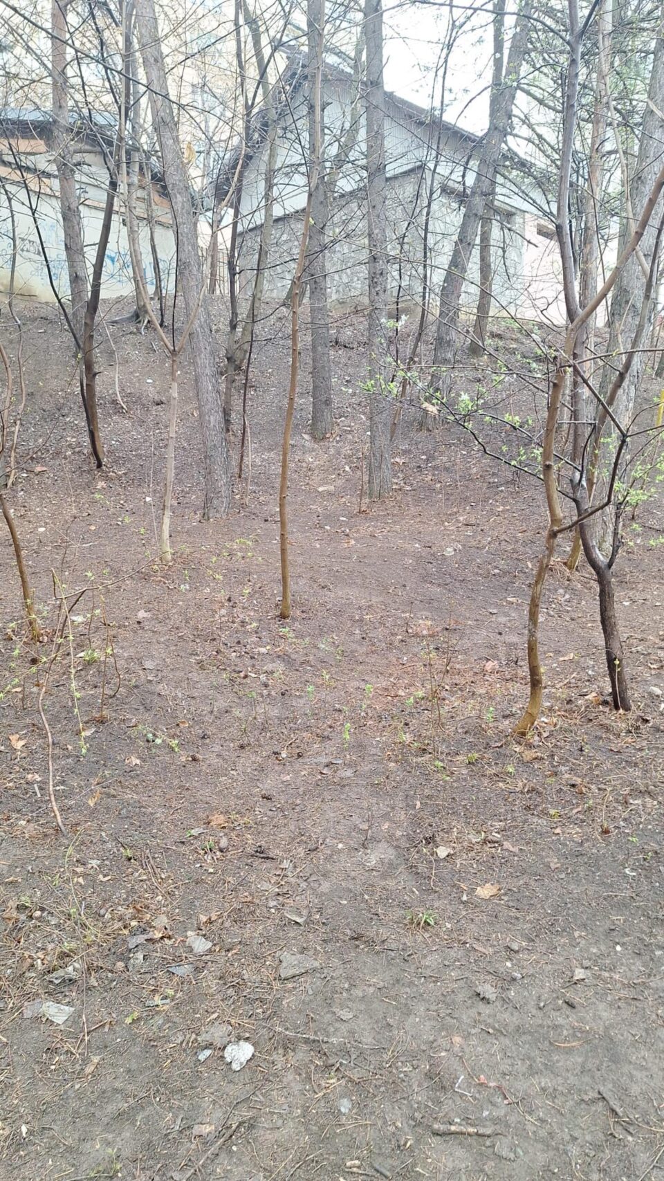 Zona salubrizată