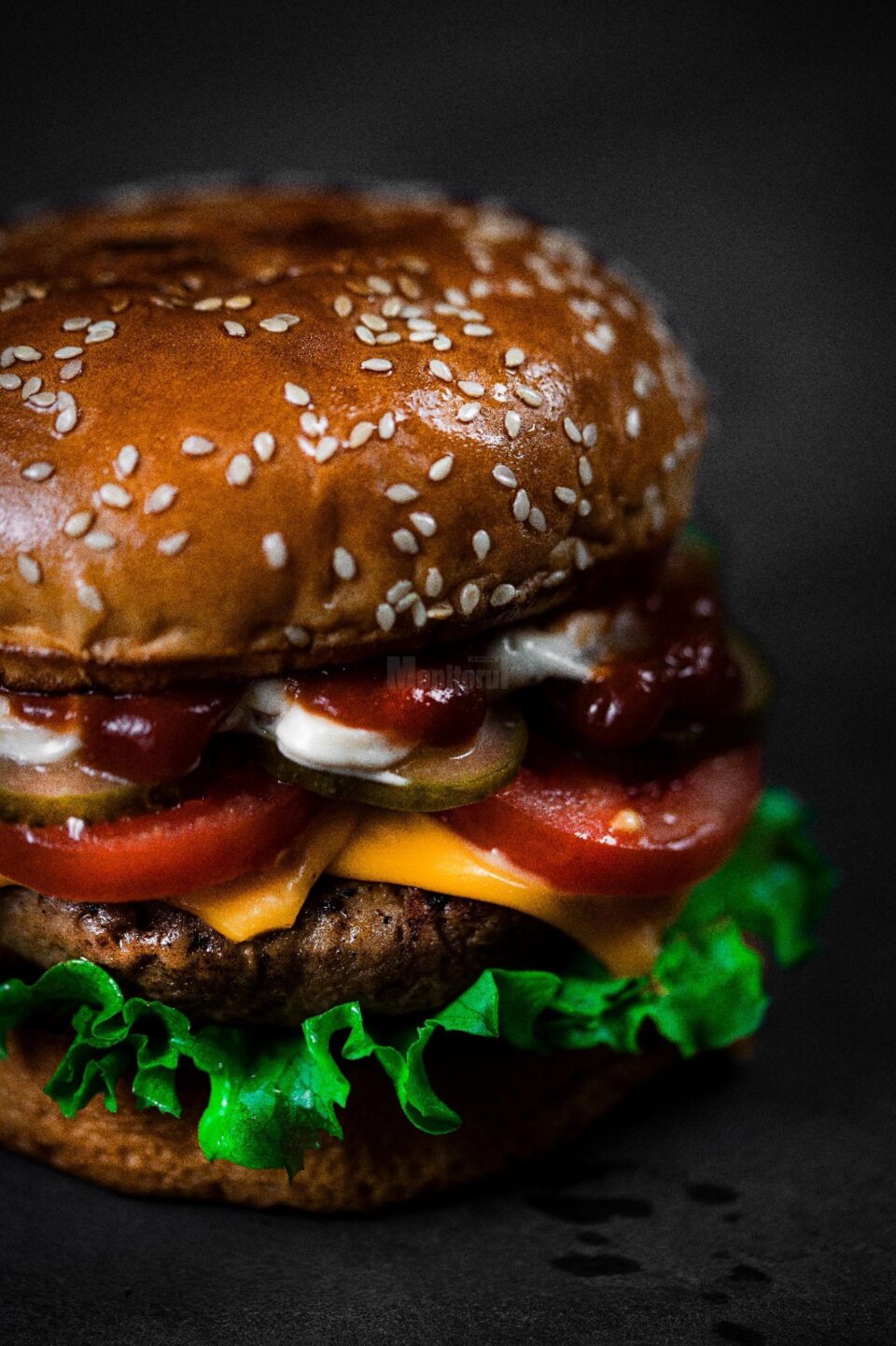 Restaurantul Moldavian Burger își deschide porțile sâmbătă, la intrare în comuna Ipotești