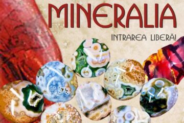 „Mineralia”, expoziție cu vânzare la Muzeul de Științele Naturii. Vedeta expoziției este jaspul