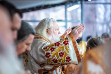 „Cred, Doamne! Ajută necredinței mele!” – Exegeza Înaltpreasfințitului Părinte Calinic la Evanghelia Duminicii a patra din Post