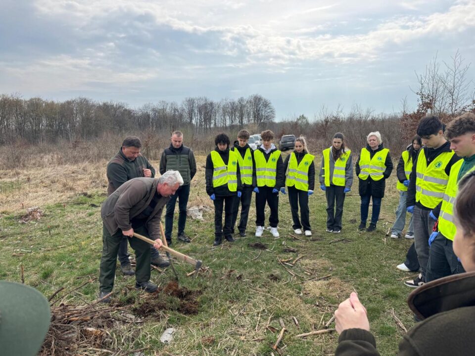 200 de goruni plantați la Pătrăuți cu voluntari de la LEO Suceava Bucovina