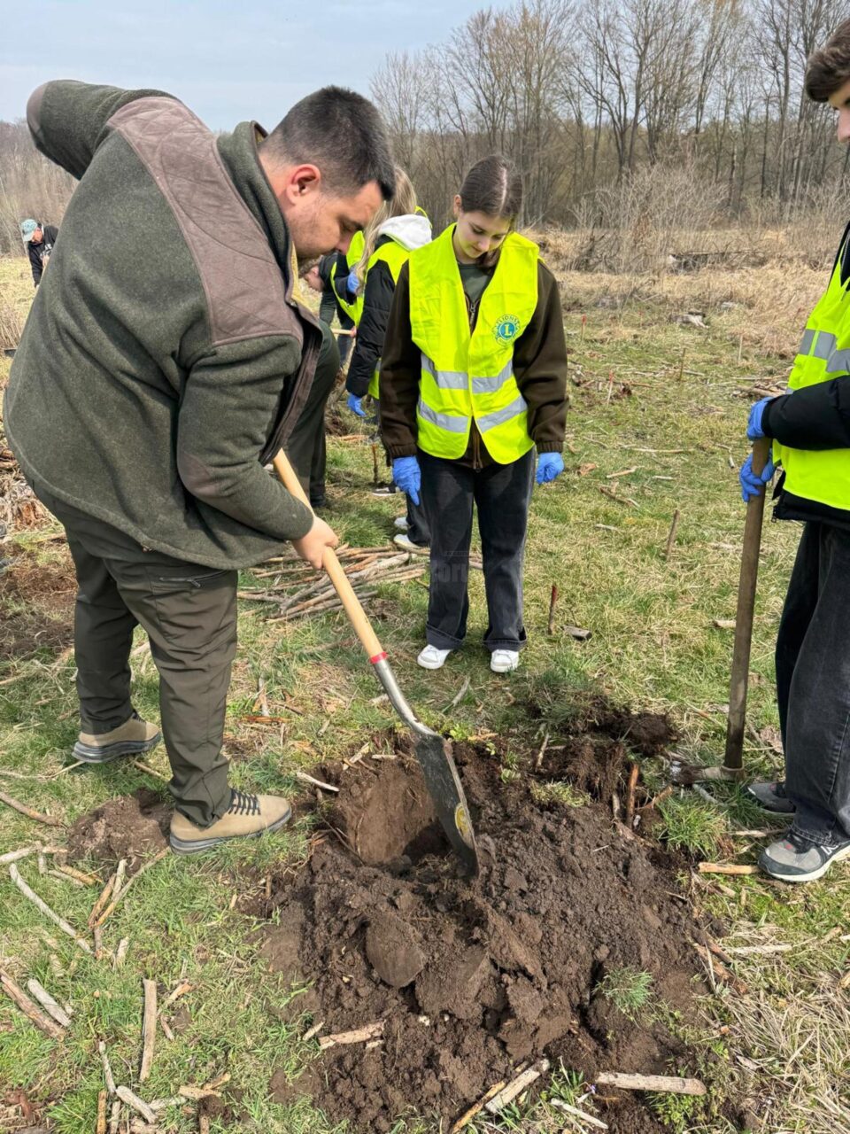 200 de goruni plantați la Pătrăuți cu voluntari de la LEO Suceava Bucovina