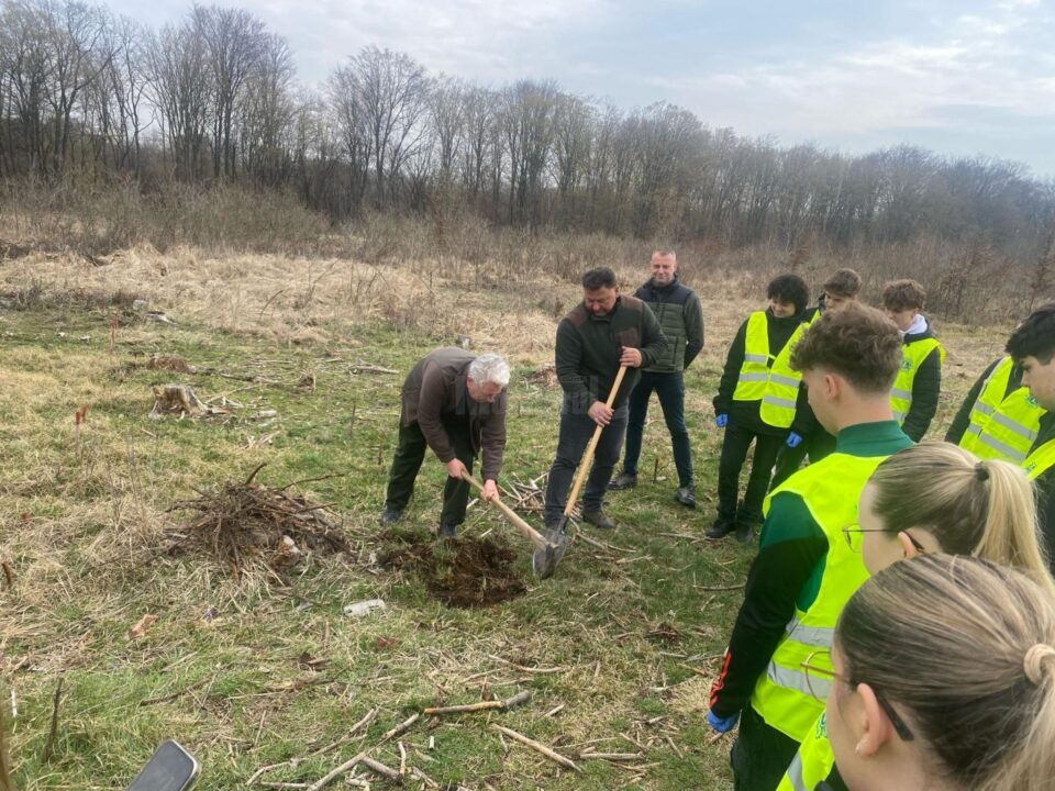 200 de goruni plantați la Pătrăuți cu voluntari de la LEO Suceava Bucovina