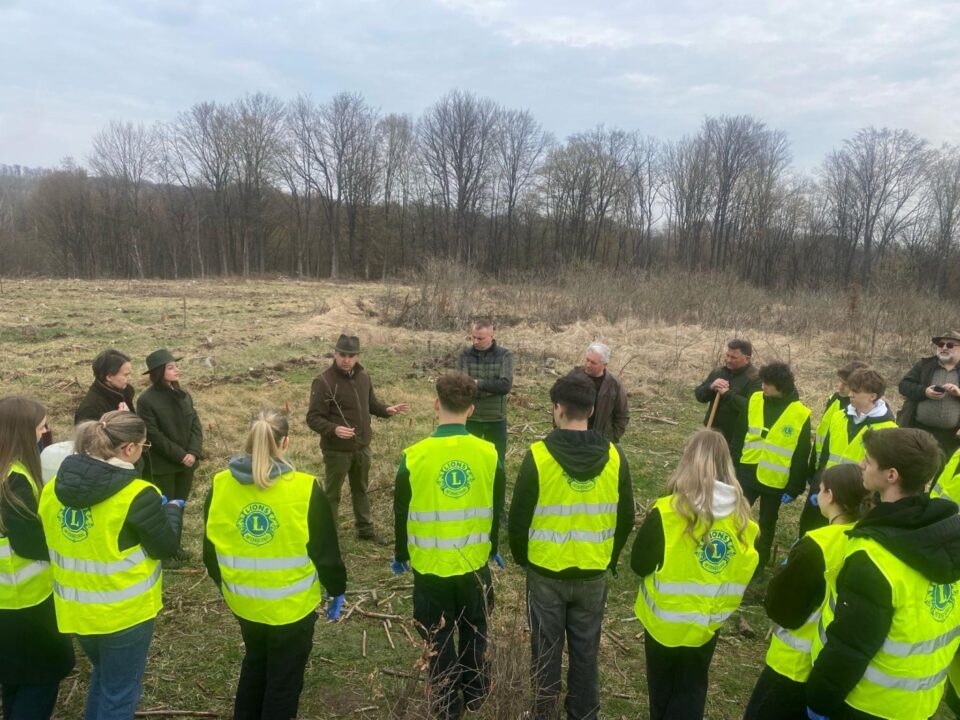 200 de goruni plantați la Pătrăuți, cu voluntari de la LEO Suceava Bucovina