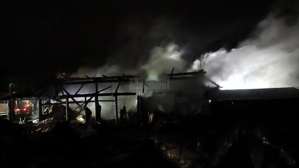 Toate cele trei construcții dintr-o gospodărie au ars violent, la Arbore