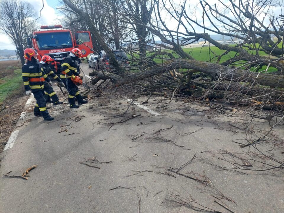 Vântul puternic a rupt arbori și cabluri electrice