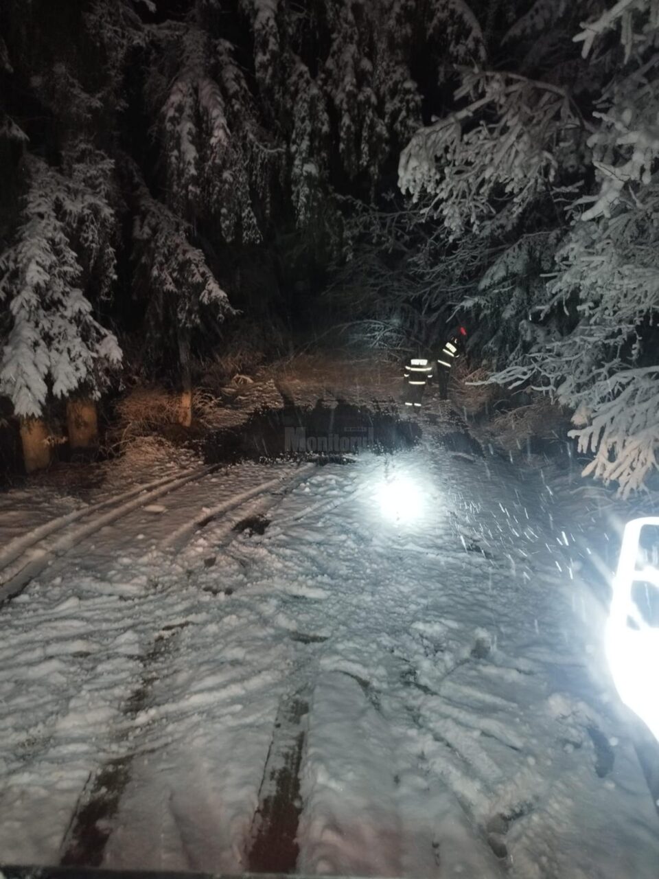 Copaci căzuți pe drumuri în mai multe zone de munte