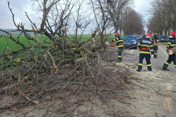 Vântul puternic a rupt arbori și cabluri electrice