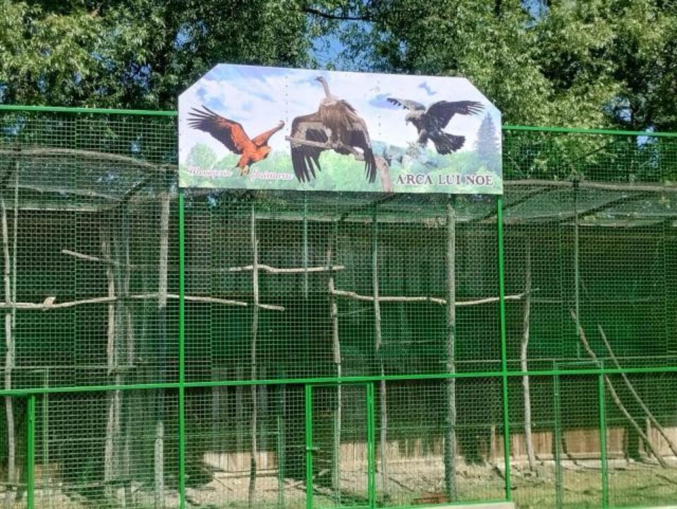 Colțul zoologic Arca lui Noe, înființat la Zaharești de împătimitul colecționar Dorin Șoimaru