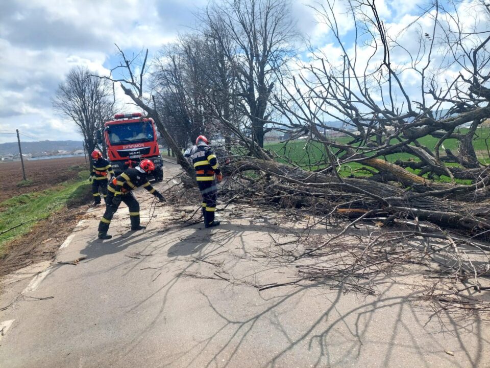 Vântul puternic a rupt arbori și cabluri electrice