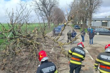 Vântul puternic a rupt arbori și cabluri electrice