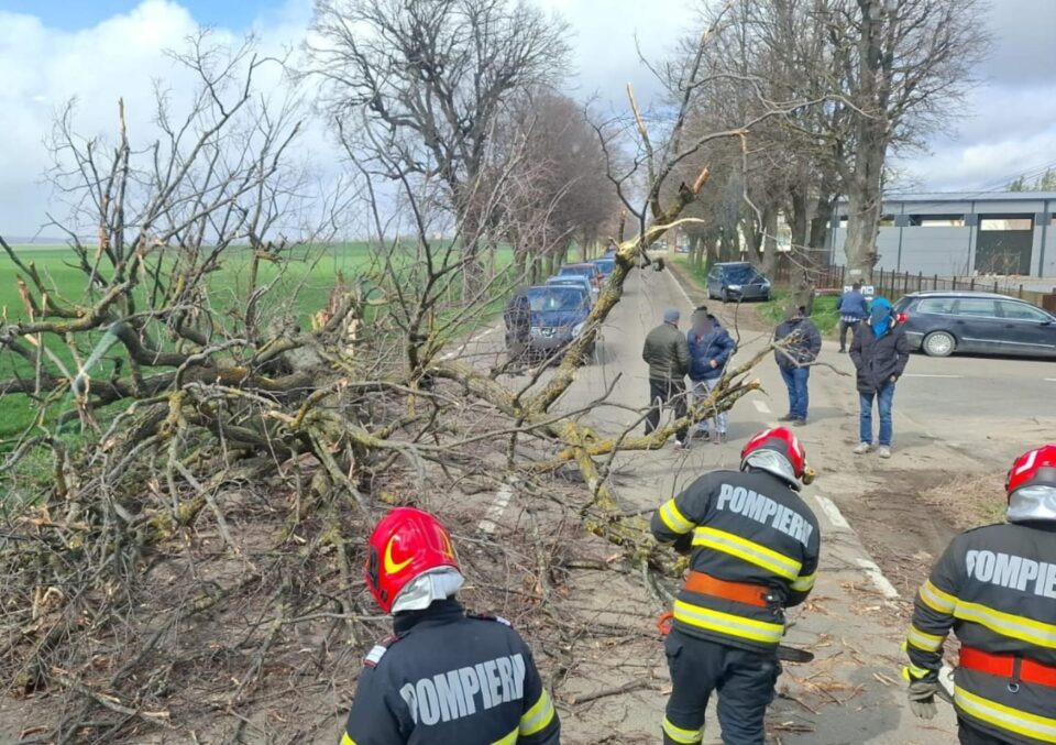 Vântul puternic a rupt arbori și cabluri electrice