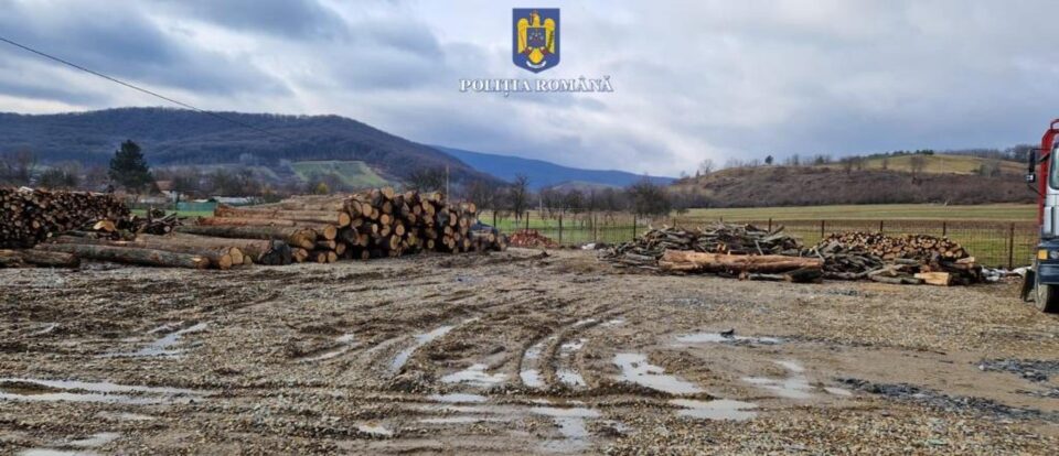 Zeci de infracțiuni imputate unui inginer silvic și unui pădurar, acuzați că „albeau” prin falsuri transporturi ilegale de lemn (fotografie generică)