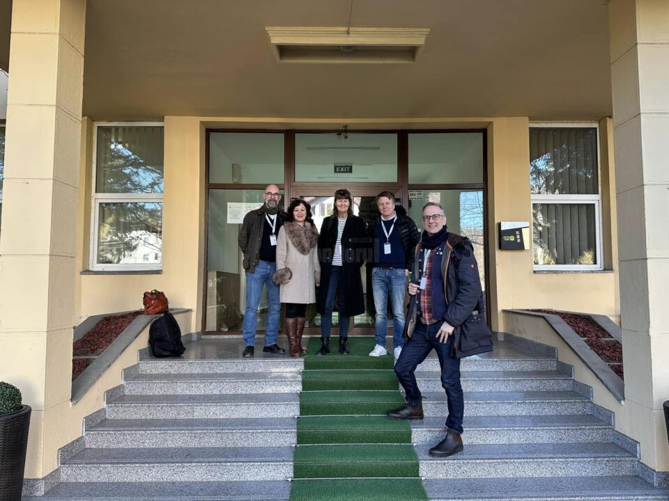 Job shadowing a delegației suedeze la Școala Gimnazială ,,George Voevidca”