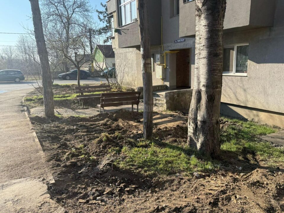 Spațiu verde și bănci, în locul betoanelor, sub geamurile blocurilor din Burdujeni