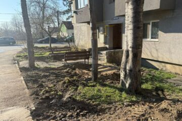 Spațiu verde și bănci, în locul betoanelor, sub geamurile blocurilor din Burdujeni