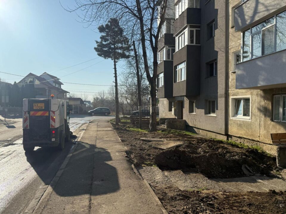 Amenajarea spațiilor verzi