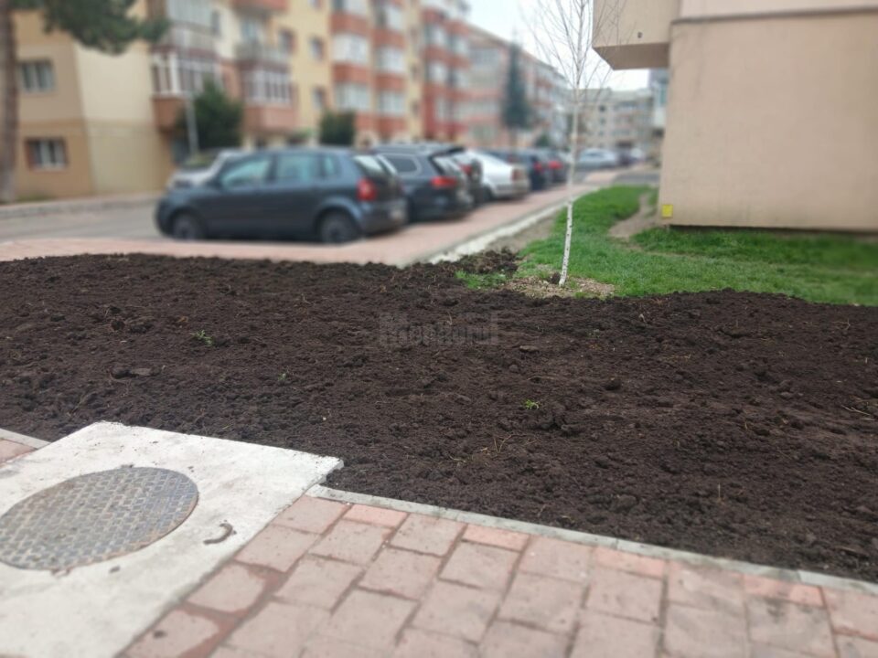 Spațiu verde și bănci, în locul betoanelor, sub geamurile blocurilor din Burdujeni