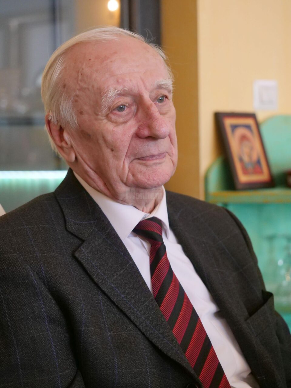 Artistul plastic Radu Bercea