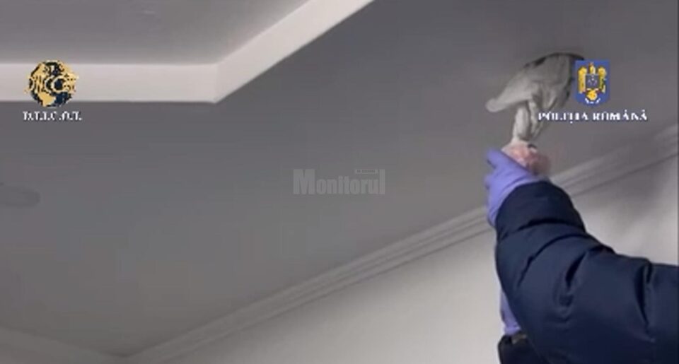 Drogurile găsite în tavan